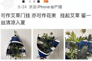 想不到❓BIG6排名：曼联重返前六&只差曼城3分，切尔西继续掉队